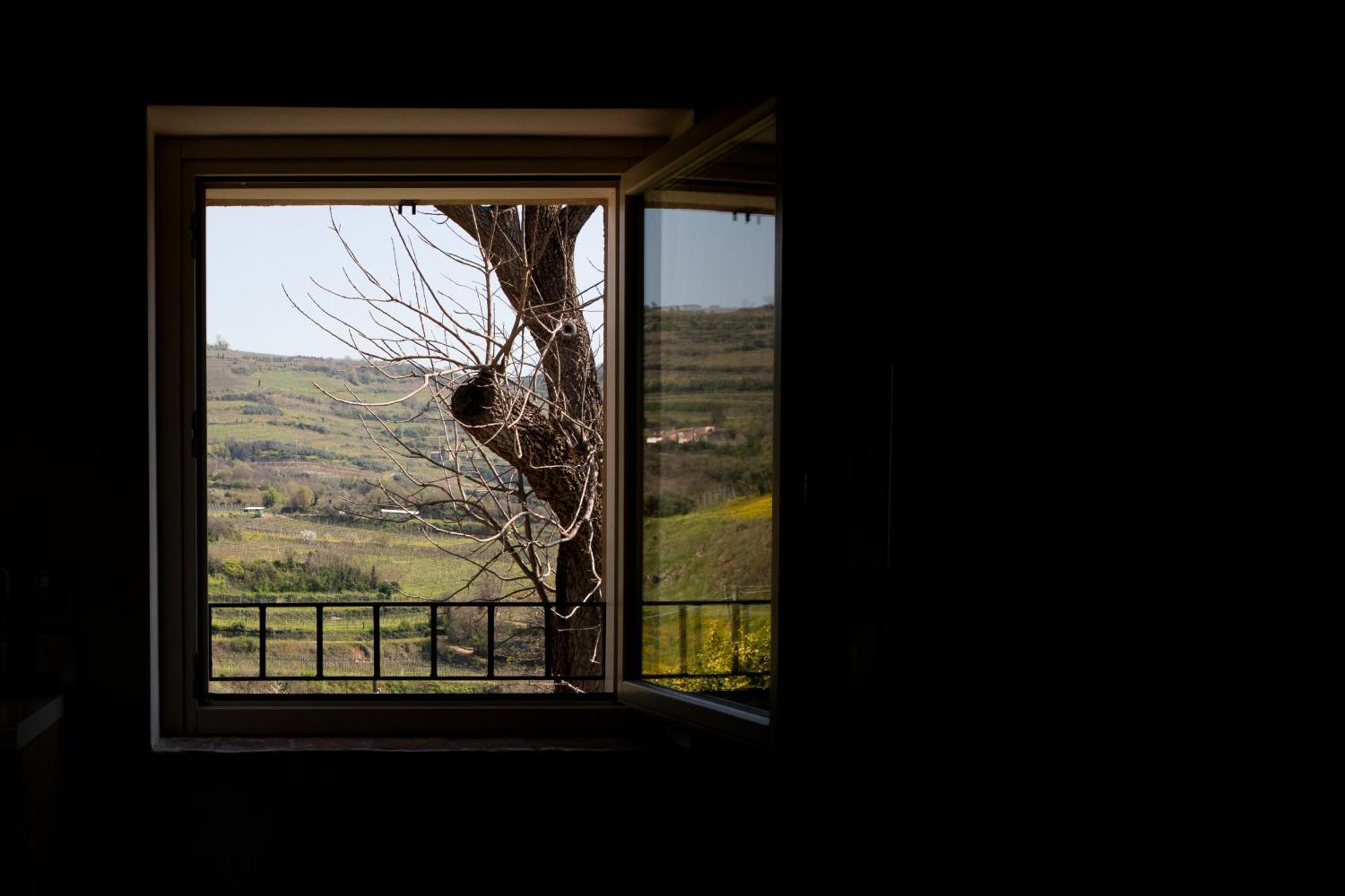 Corte Dei Soavi Suites - Apartments Soave  Eksteriør bilde